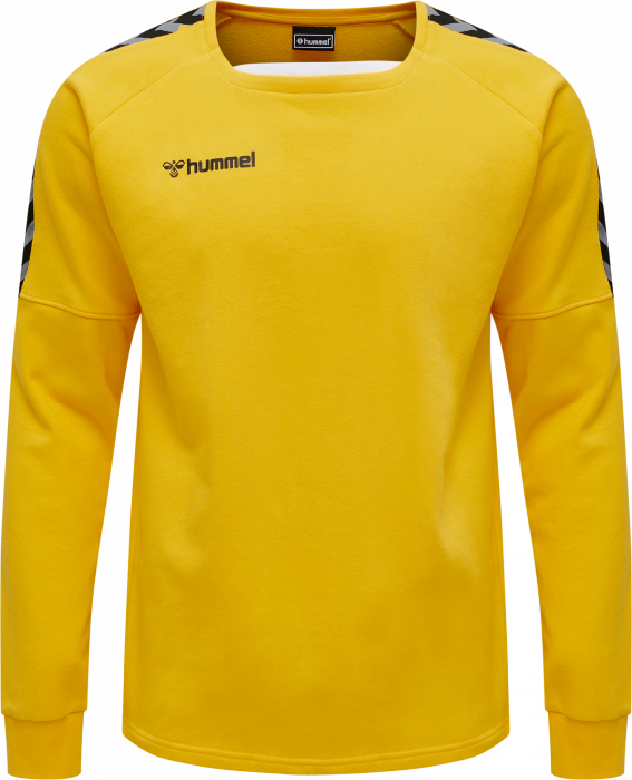 animation igen udvikling Hummel AUTHENTIC TRAINING SWEAT › Sports Yellow (205373) › 3 Colors ›  Clothing › Futsal
