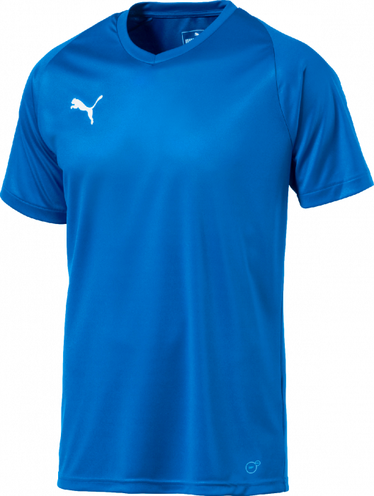 Puma Liga Jersey Core › Blue \u0026 white (703509) › 7 Colors › T-shirts \u0026 polos  by Puma