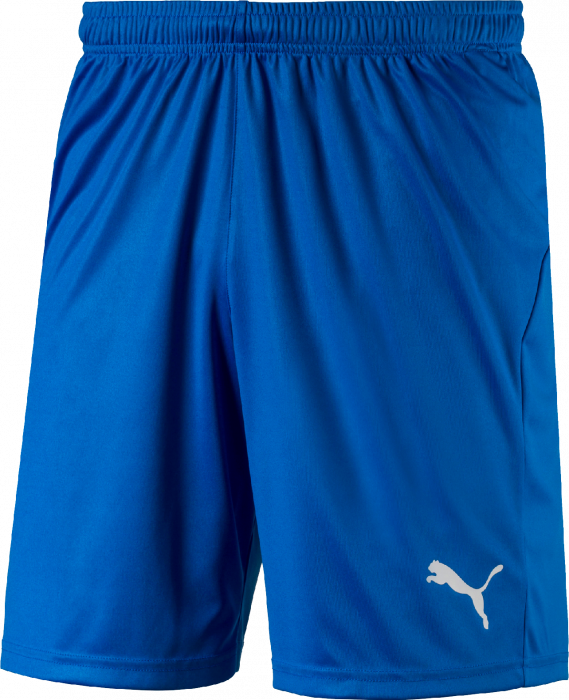 Puma LIGA Shorts › Blue \u0026 white (703615 