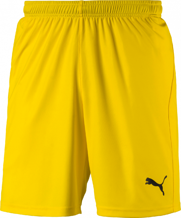 Puma LIGA Shorts › Yellow \u0026 black 