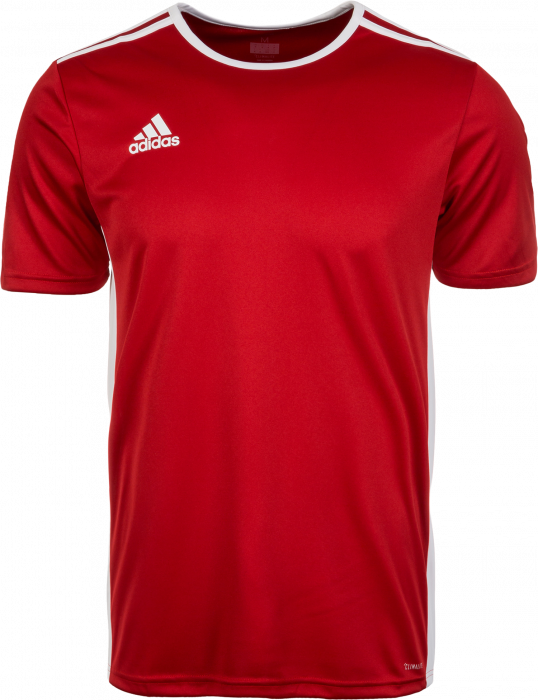 Adidas Entrada 18 Spilletrøje › Rød hvid (CF1038) › 7 Farver