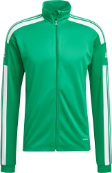 Adidas Entrada › hoodie green 22 Team (HI2141) › Colors 9 & white