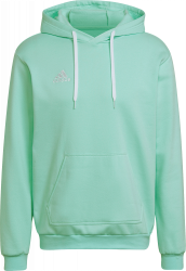 green & › (HI2141) Team Colors 9 Adidas white Entrada 22 › hoodie