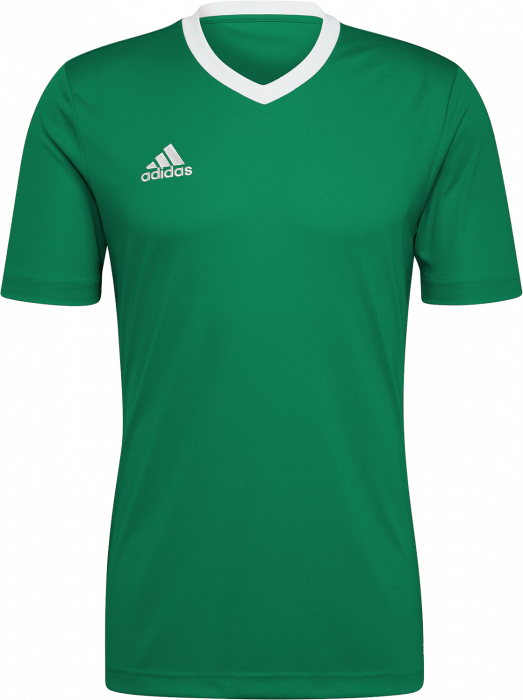 Adidas - Entrada 22 Spillertrøje - Team green & hvid