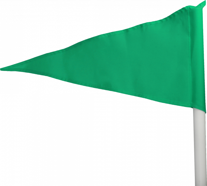 Зеленый флаг в россии. Зеленый флажок. Флажок на палочке. Зеленый треугольный флажок. Угловой флажок.